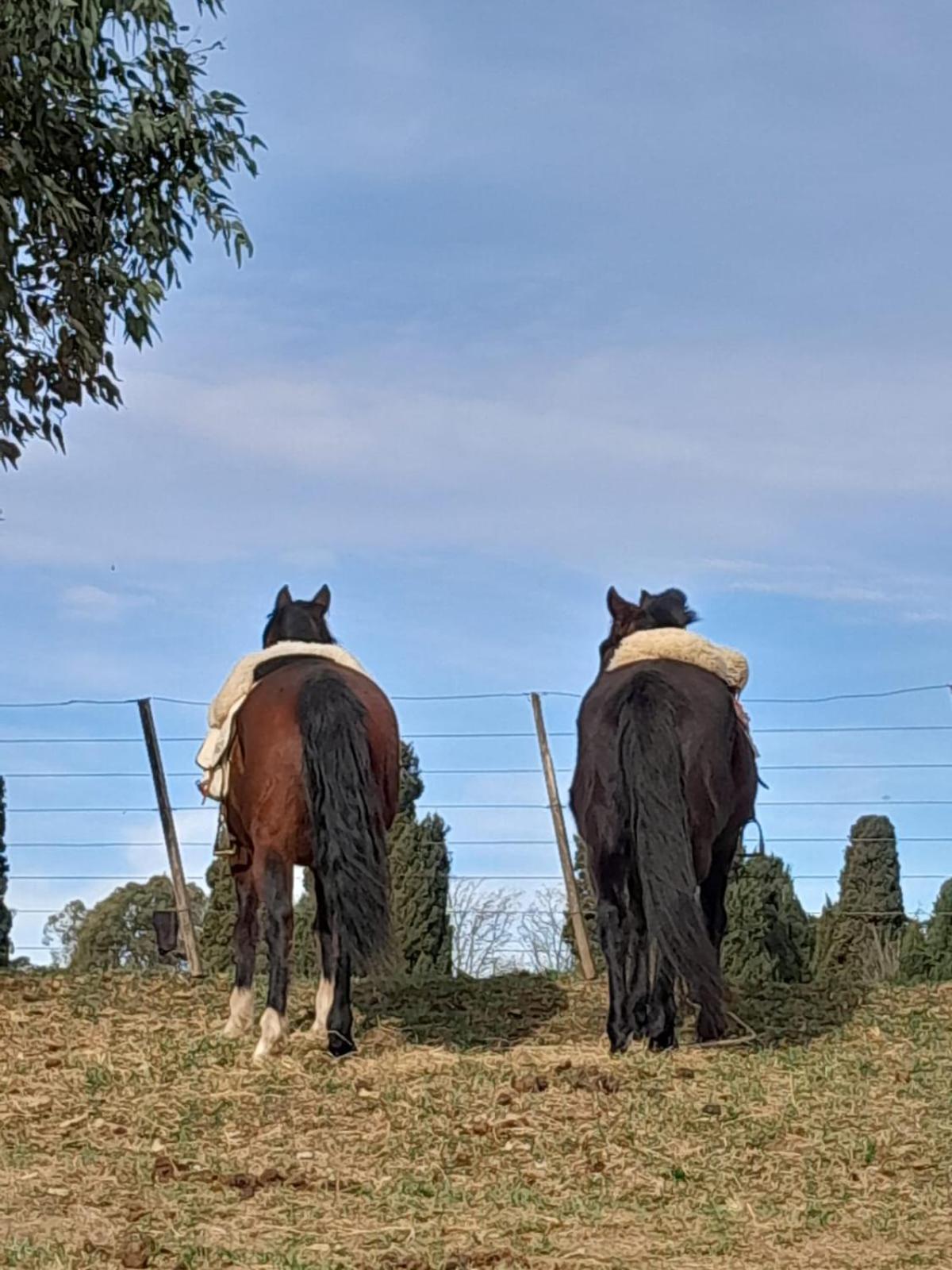 Chacras De Azcona Hosteria Azul Dış mekan fotoğraf