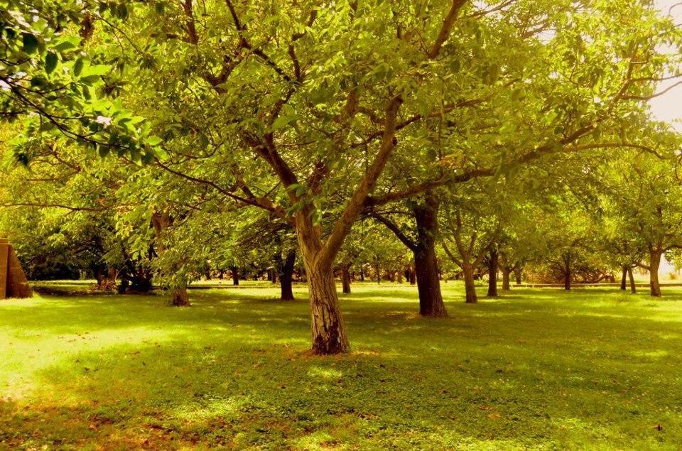 Chacras De Azcona Hosteria Azul Dış mekan fotoğraf