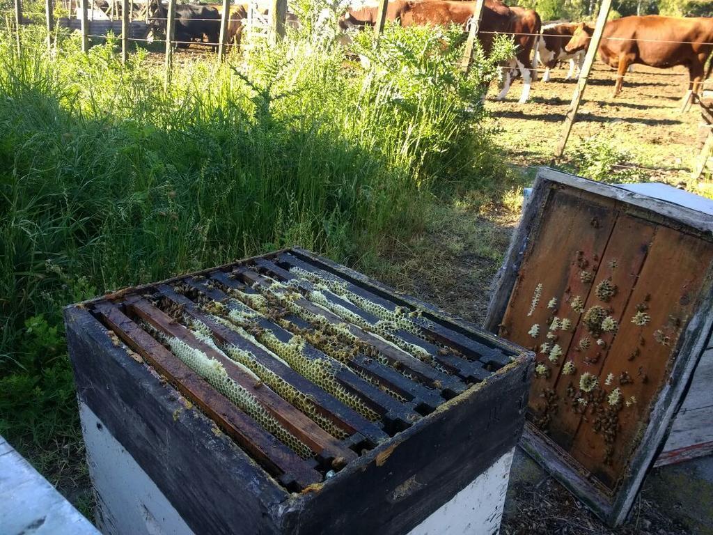 Chacras De Azcona Hosteria Azul Dış mekan fotoğraf